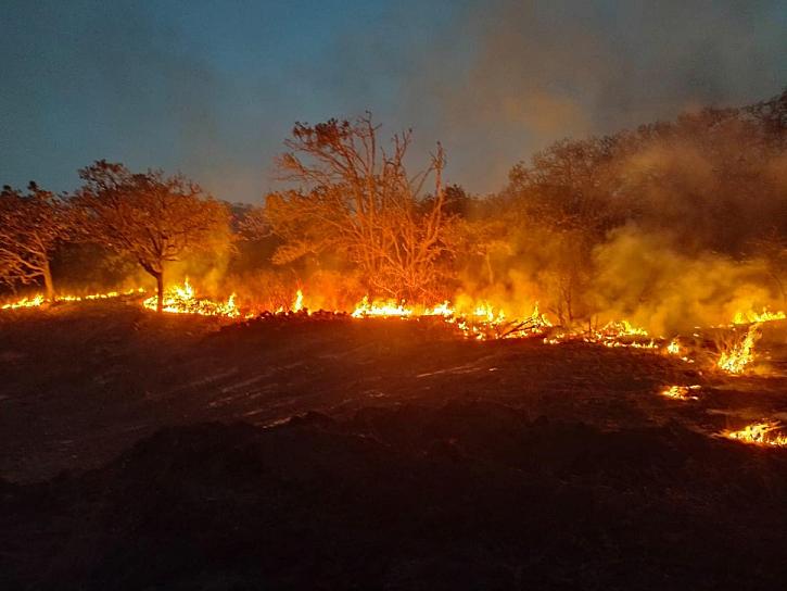 VAN 1615 HECTÁREAS AFECTADAS POR INCENDIO EN TEÚL DE GONZÁLEZ ORTEGA