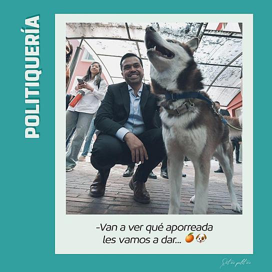 -Van a ver qué aporreada les vamos a dar... 🍊