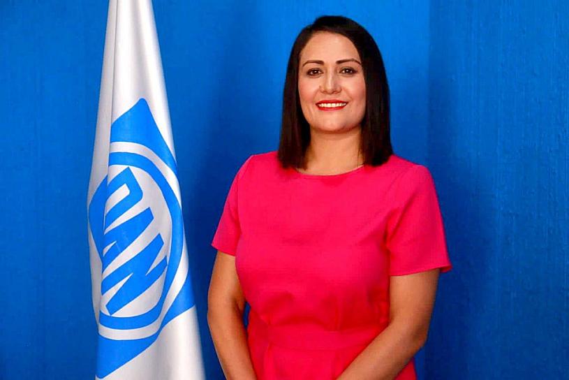 VA PAN CONTRA DESIGNACIÓN DE DOS CONSEJEROS INE