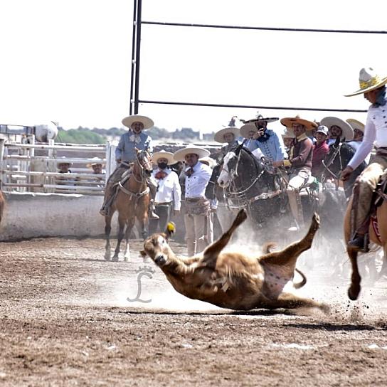 VIVE ZACATECAS FIN DE SEMANA DEPORTIVO
