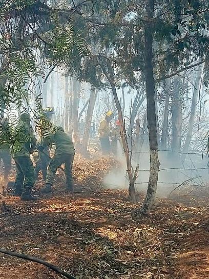   VORAZ INCENDIO FORESTAL EN COLINAS DEL PADRE, SE EXTIENDE HASTA CERCA DE LA ENCANTADA 