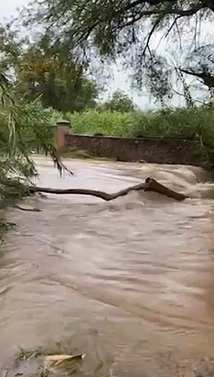 ZACATECAS NO REGISTRA CONTAMINACIÓN DE RÍOS Y ARROYOS: SAMA