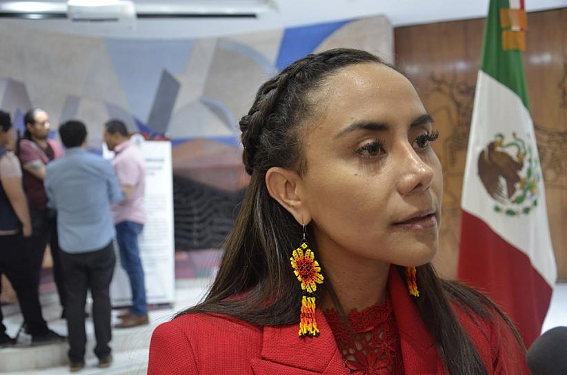 ZACATECAS NO TIENE LEY DE SALUD MENTAL: KARLA VALDEZ 