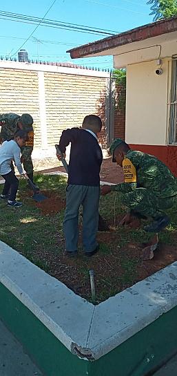 ADOPTAN ESCUELAS DE FRESNILLO CIENTOS DE ÁRBOLES 