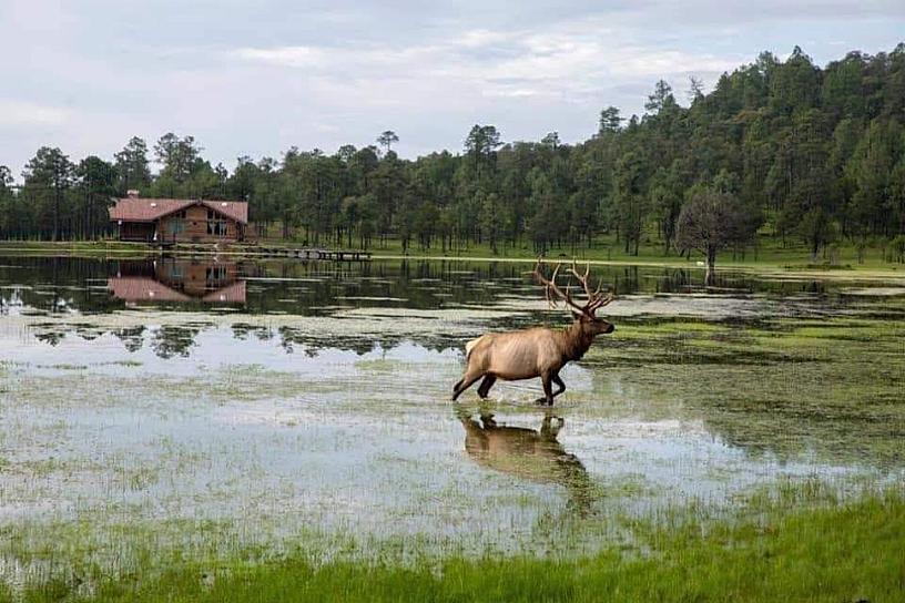 DESCUBRE LA SIERRA DE VALPARAÍSO, UN PARAÍSO NATURAL ENTRE BOSQUES Y MONTAÑAS