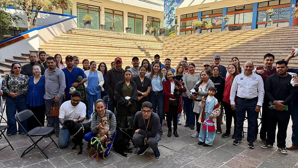 INICIA ZACATECAS CAMPAÑA ANTIRRÁBICA PARA MASCOTAS