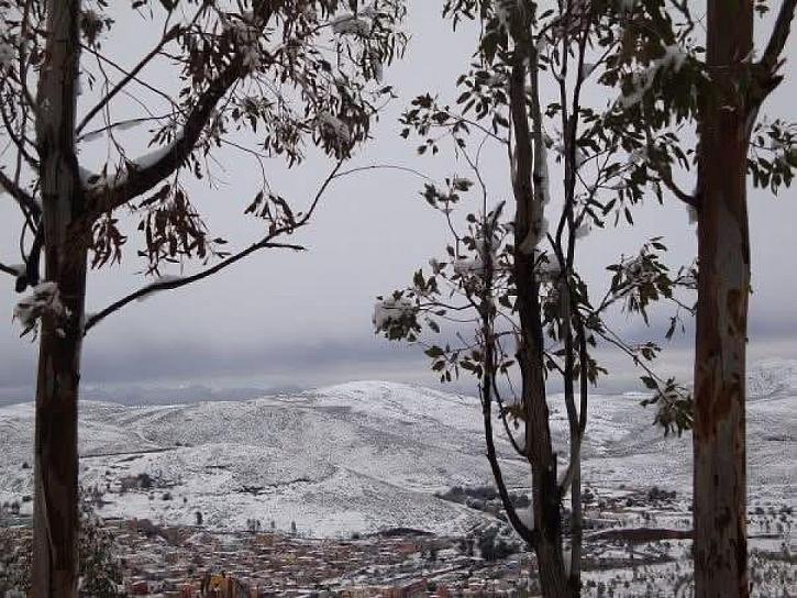 Advierte el SMN de heladas en Zacatecas