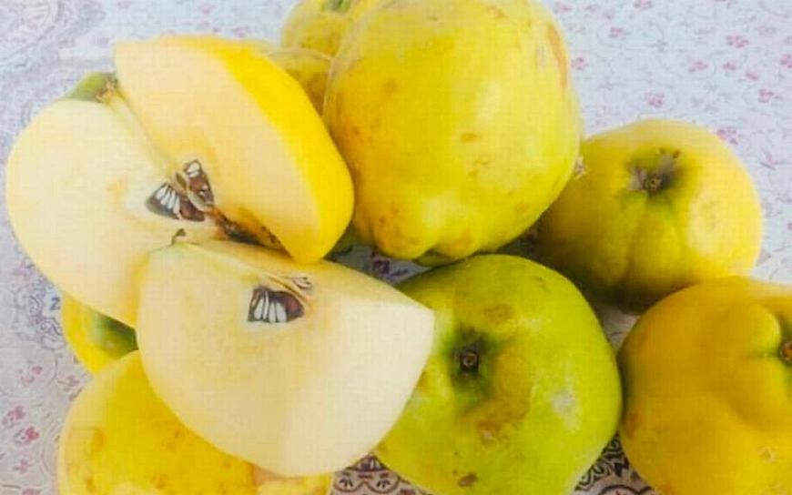 A LA BAJA, PRODUCCIÓN DE MEMBRILLO POR SEQUÍA