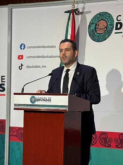 PIDE ULISES MEJÍA AUDITORÍA POR COYOTAJE DEL FRIJOL