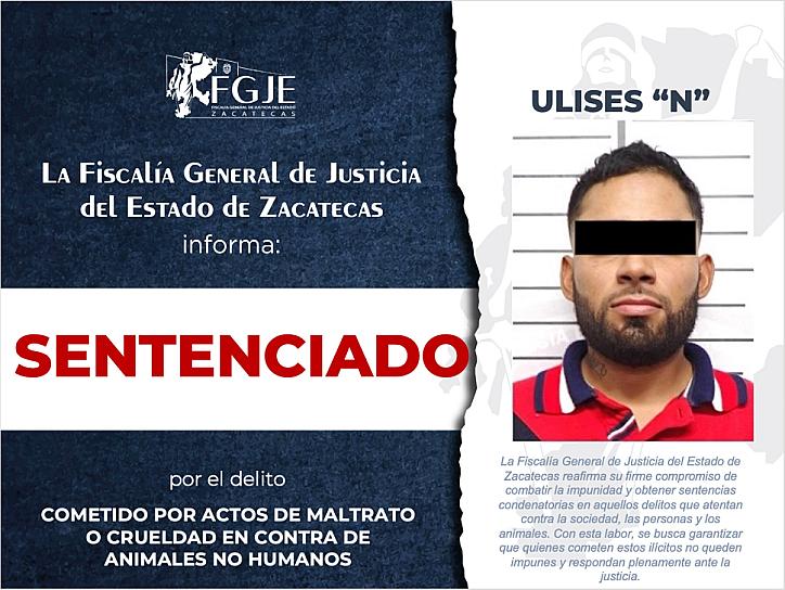 SENTENCIAN A ULISES “N” POR MALTRATO ANIMAL EN TRANCOSO