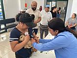 IMPULSA ZACATECAS ESTERILIZACIÓN CANINA CON APOYO DE FRESNILLO