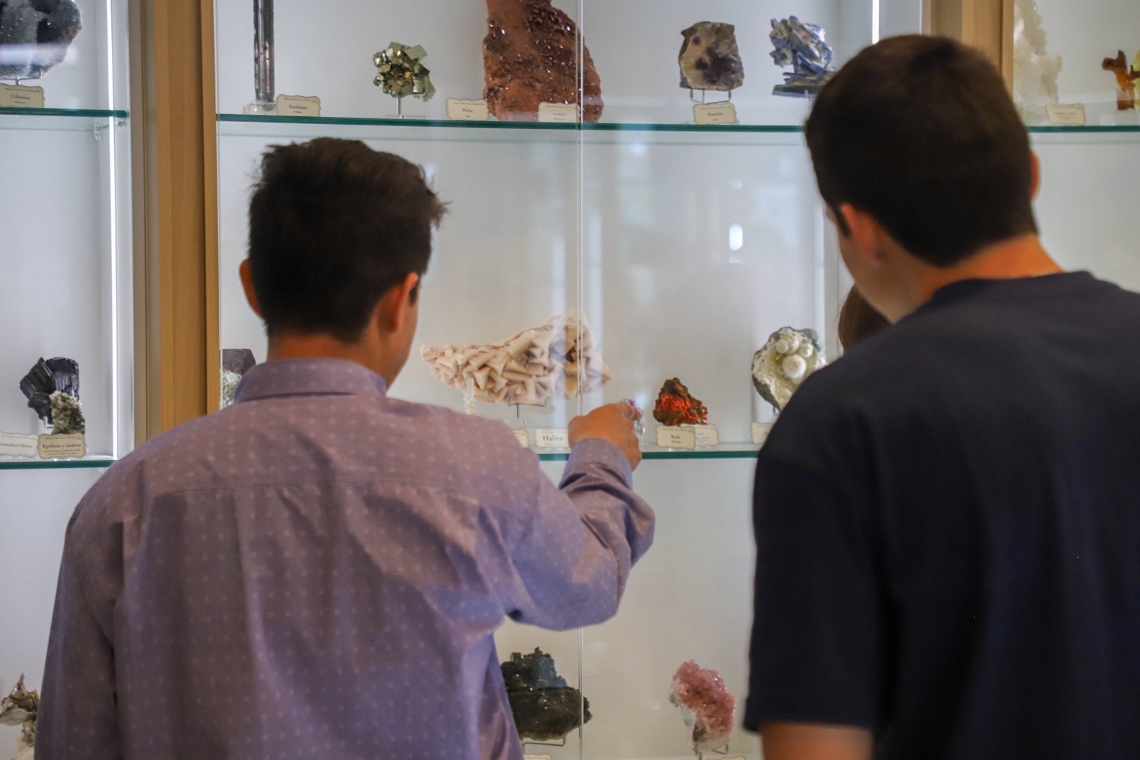 EXHIBE MINA DEL EDÉN MUSEO DE ROCAS Y MINERALES EN EL MERCADO GONZÁLEZ ORTEGA