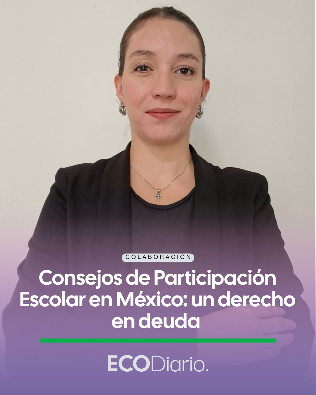 EN PERSPECTIVA | GRUPO VOCES - CONSEJOS DE PARTICIPACIÓN ESCOLAR EN MÉXICO: UN DERECHO EN DEUDA
