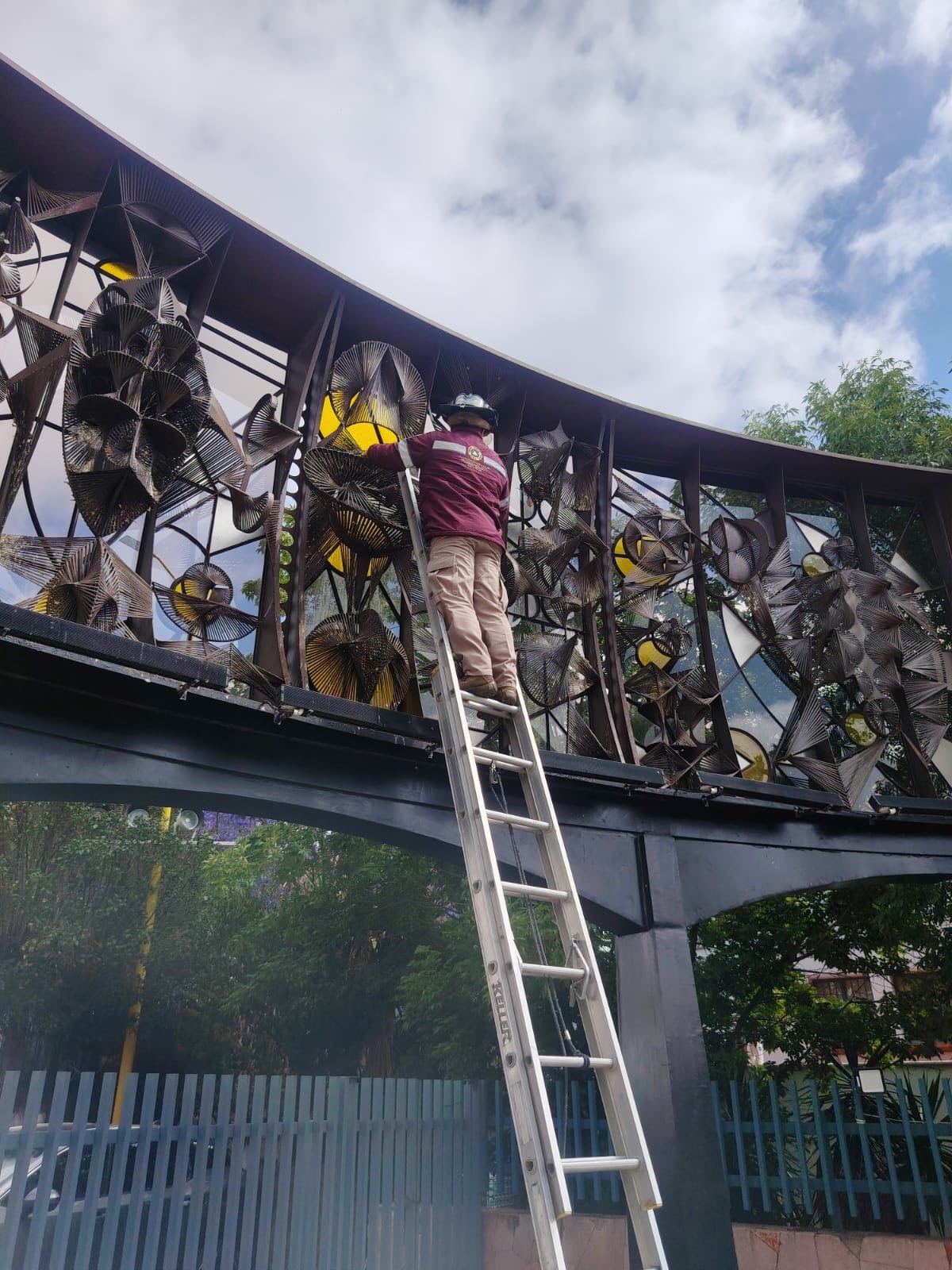 RESCATA PROTECCIÓN CIVIL A PALOMA ATRAPADA EN ESCULTURA DE LA ALAMEDA