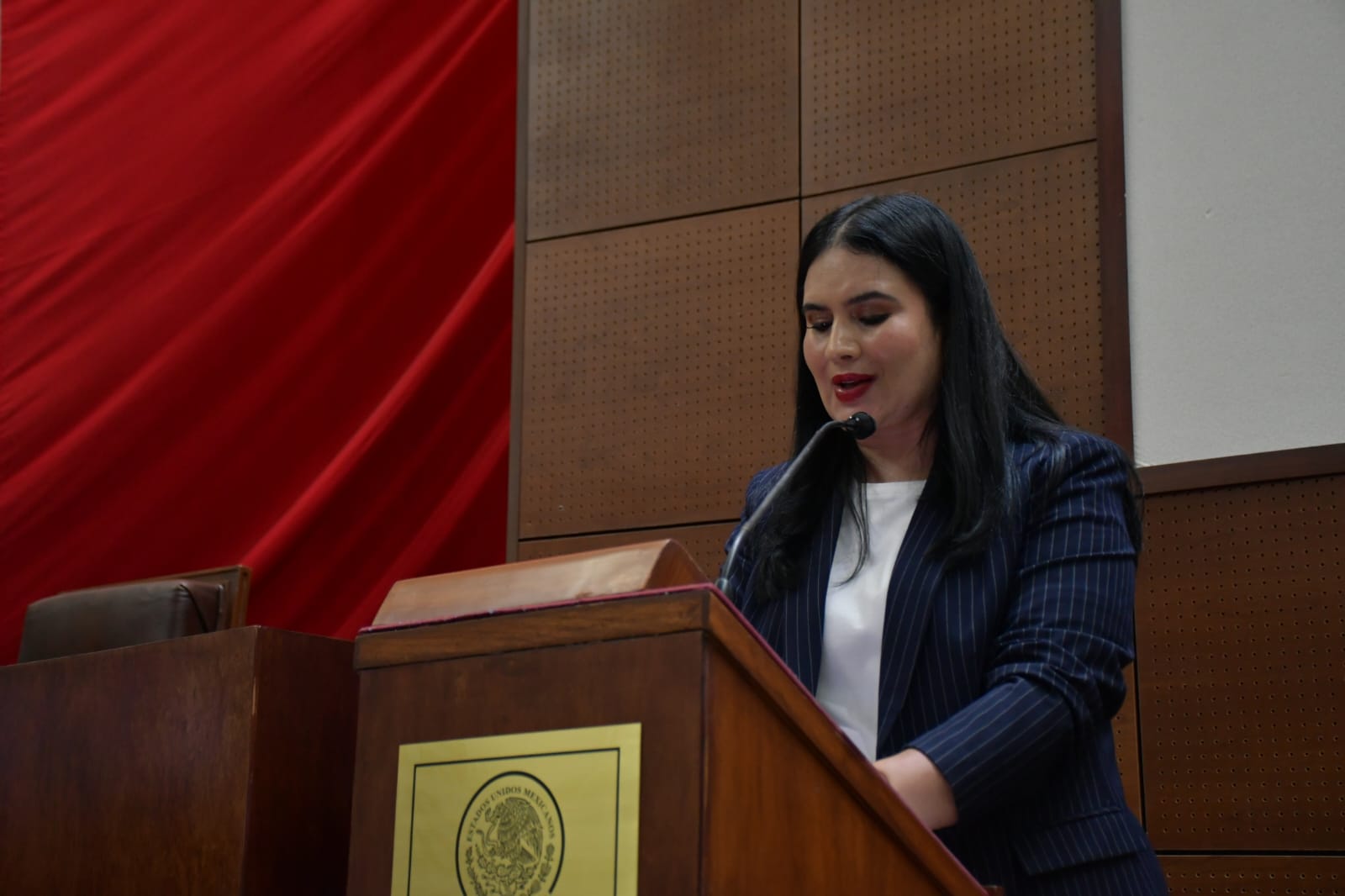 APLAUDE RENATA ÁVILA REFORMAS PARA PROTEGER MUJERES ZACATECANAS