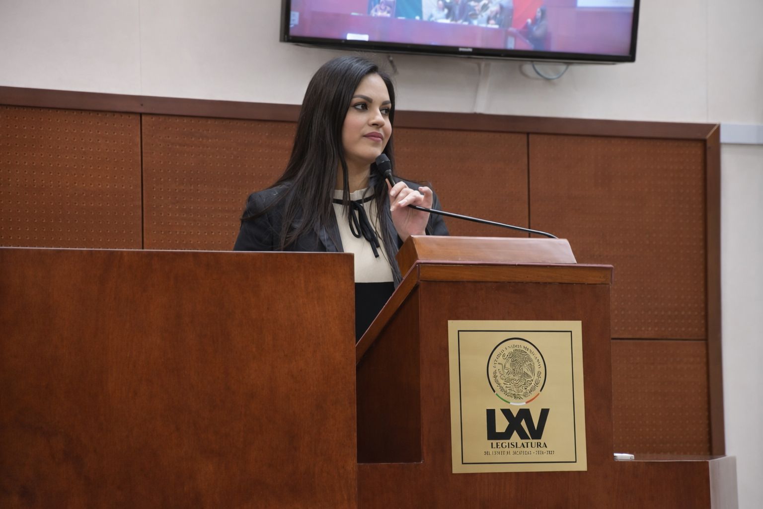 EN ZACATECAS, LA VIOLENCIA VICARIA YA NO SERÁ TOLERADA: ISADORA SANTIVAÑEZ