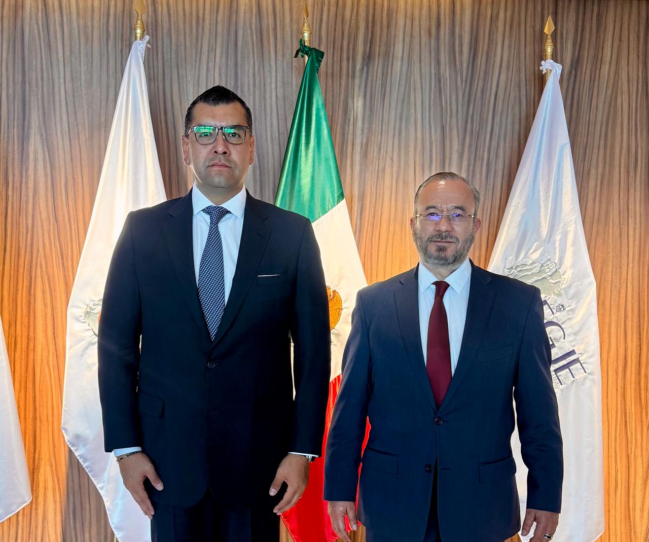 ASUME JOSÉ LUIS NÁJERA CONTROL INTERNO EN FGJEZ