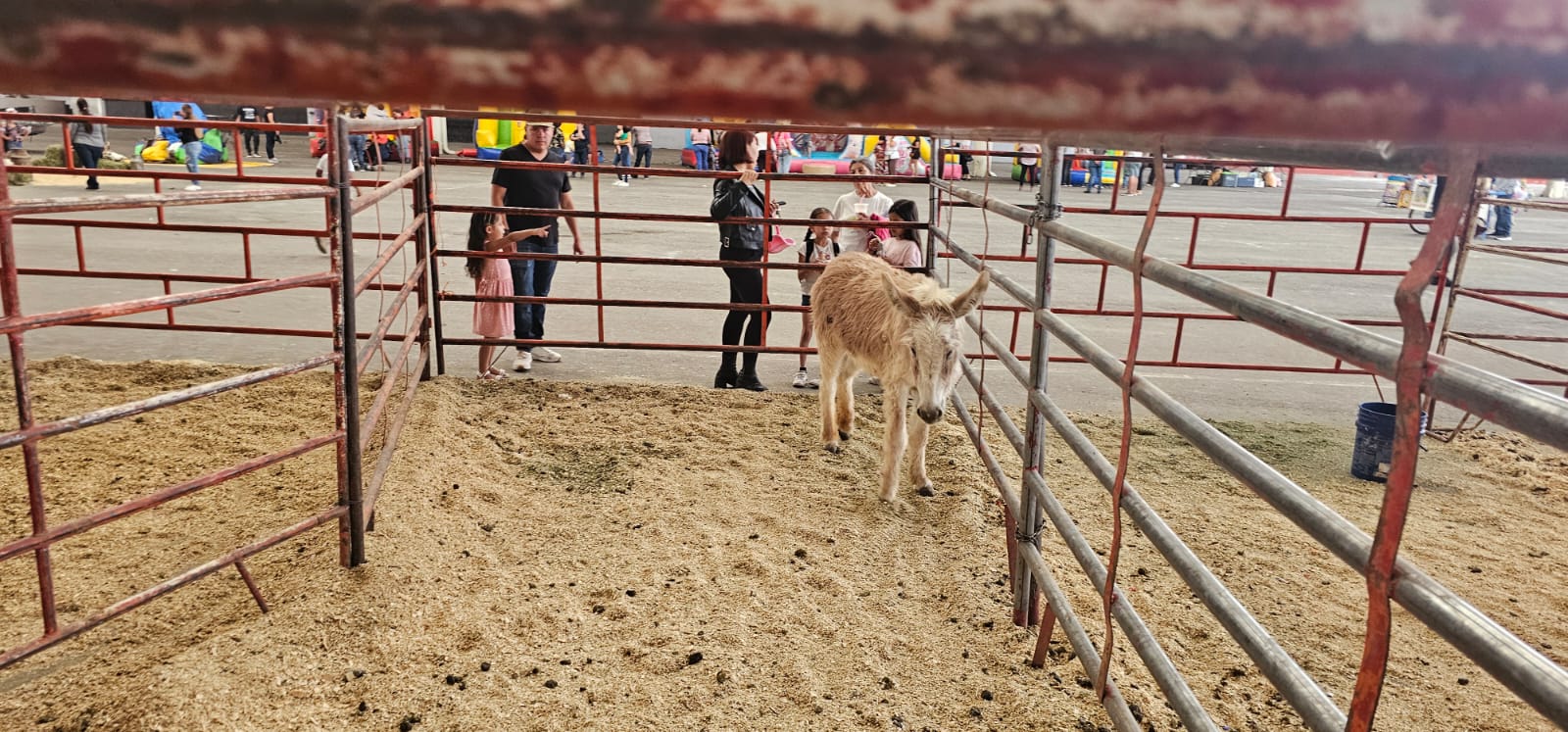 ANUNCIA SMDIF FESTEJOS PARA LOS PEQUEÑOS DE FRESNILLO CON NIÑEZ EN ACCIÓN