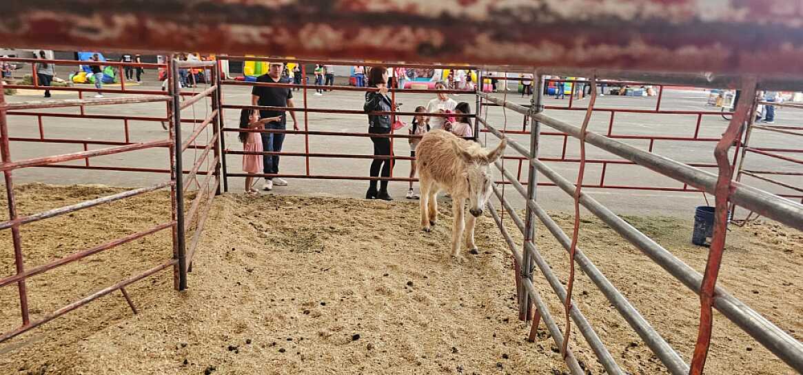 ANUNCIA SMDIF FESTEJOS PARA LOS PEQUEÑOS DE FRESNILLO CON NIÑEZ EN ACCIÓN