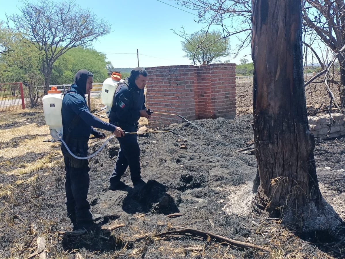 ATIENDEN POLICÍAS INCENDIO EN LOCALIDAD DE APULCO