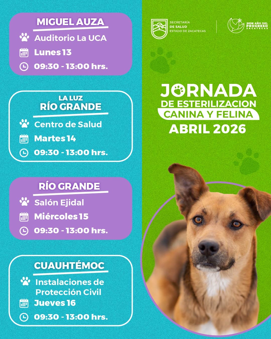 LLEGAN JORNADAS DE ESTERILIZACIÓN CANINA Y FELINA A MIGUEL AUZA, RÍO GRANDE Y CUAUHTÉMOC