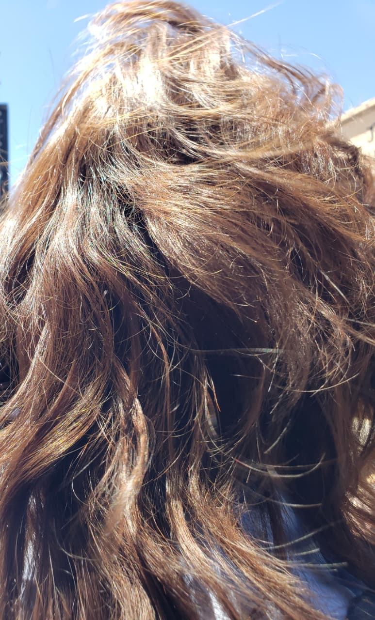 CONVIERTE CABELLO EN ESCUDO AMBIENTAL CONTRA DERRAMES EN EL GOLFO