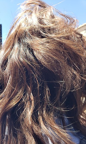 CONVIERTE CABELLO EN ESCUDO AMBIENTAL CONTRA DERRAMES EN EL GOLFO