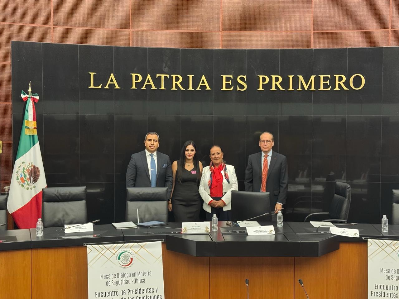 PRESENTA ISADORA SANTIVAÑEZ AVANCES DE LEY DE SEGURIDAD