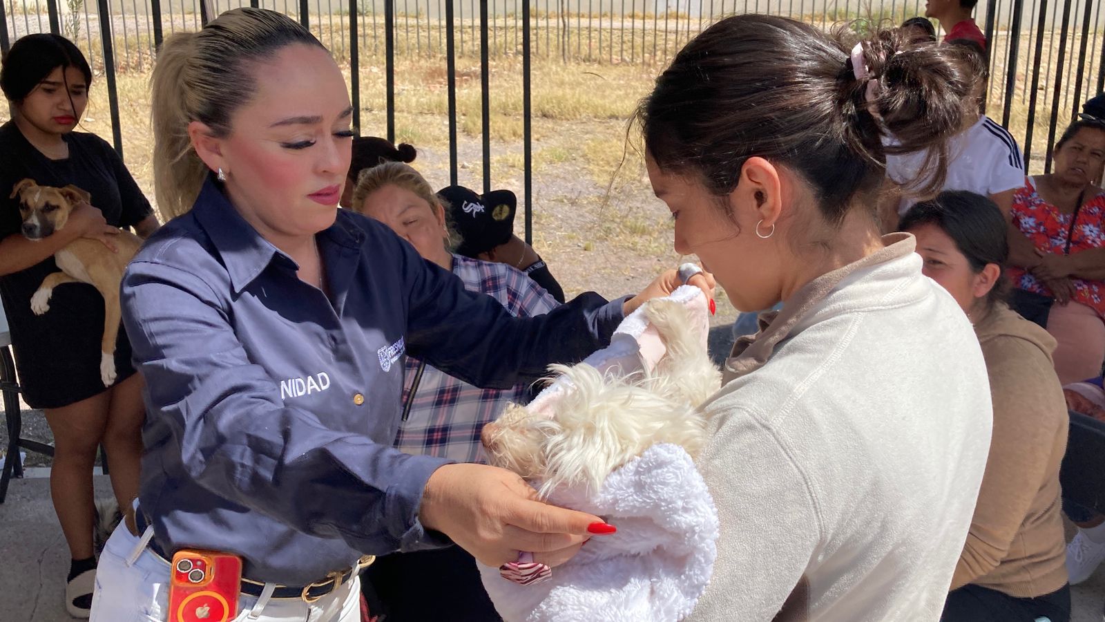 LLEVA CAPITAL CAMPAÑA DE ESTERILIZACIÓN CANINA A FRESNILLO