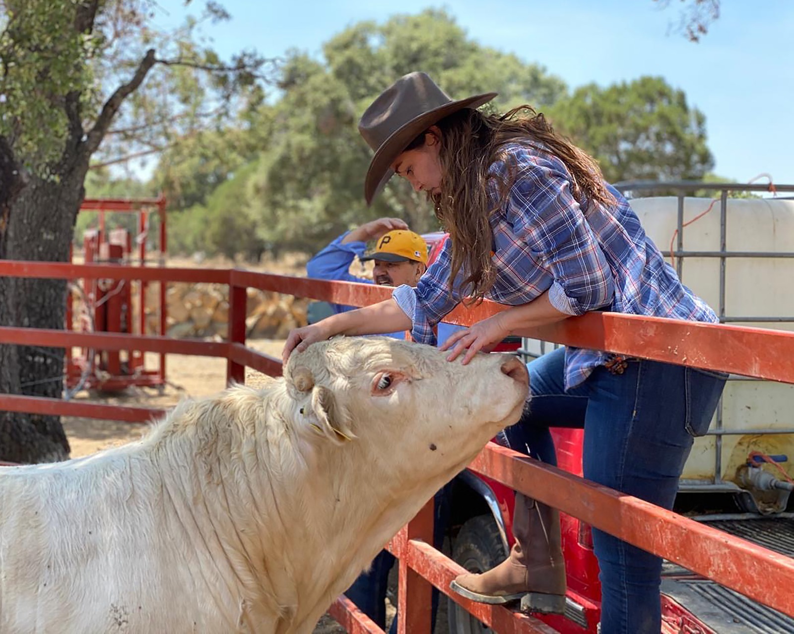 URGE GEOVANNA BAÑUELOS A CONTENER LA PROPAGACIÓN DEL GUSANO BARRENADOR EN ZACATECAS