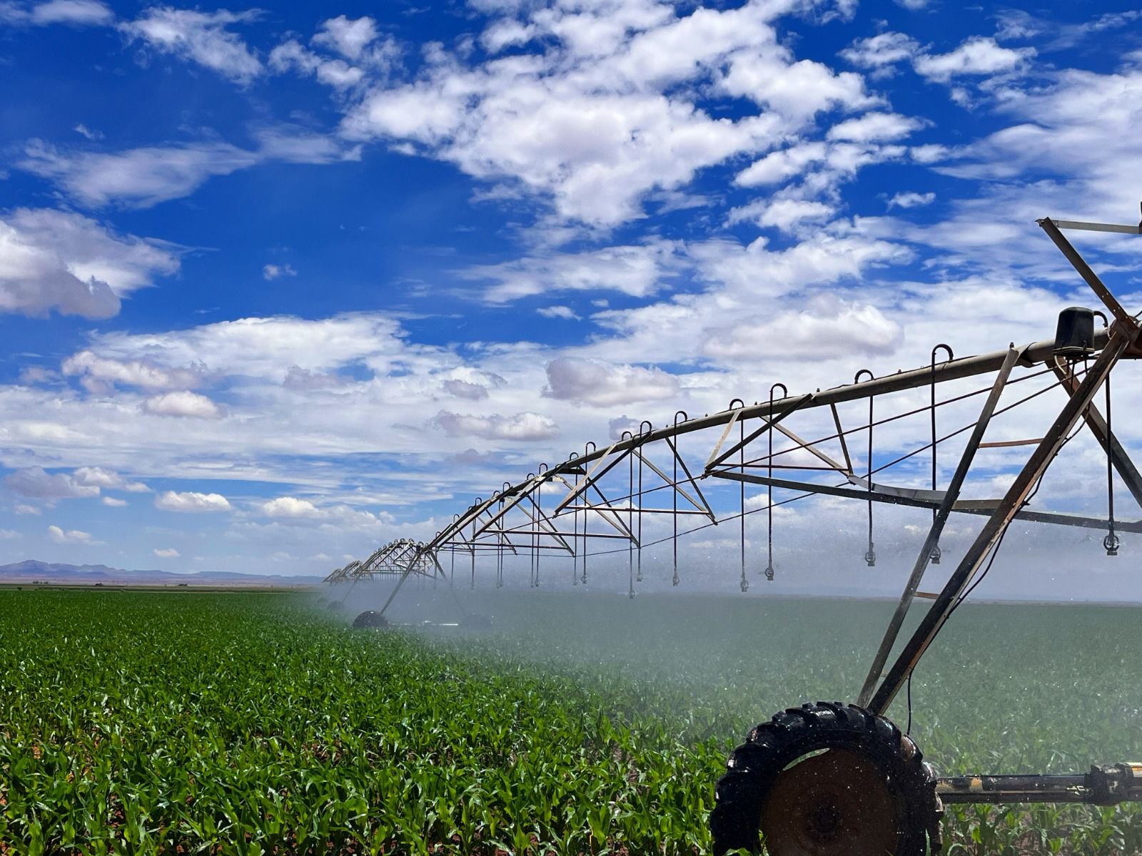 CIERRA EL 28 DE ABRIL LA VENTANILLA PARA REINSCRIPCIONES AL PEUA: AGRICULTURA