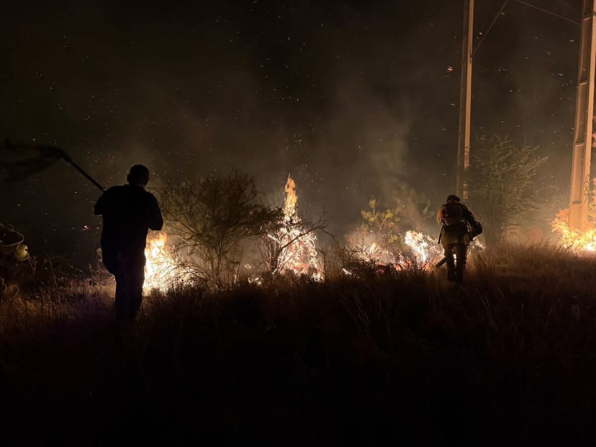 DEVORA FUEGO MÁS DE 600 HECTÁREAS EN LA SALIDA A VALPARAÍSO