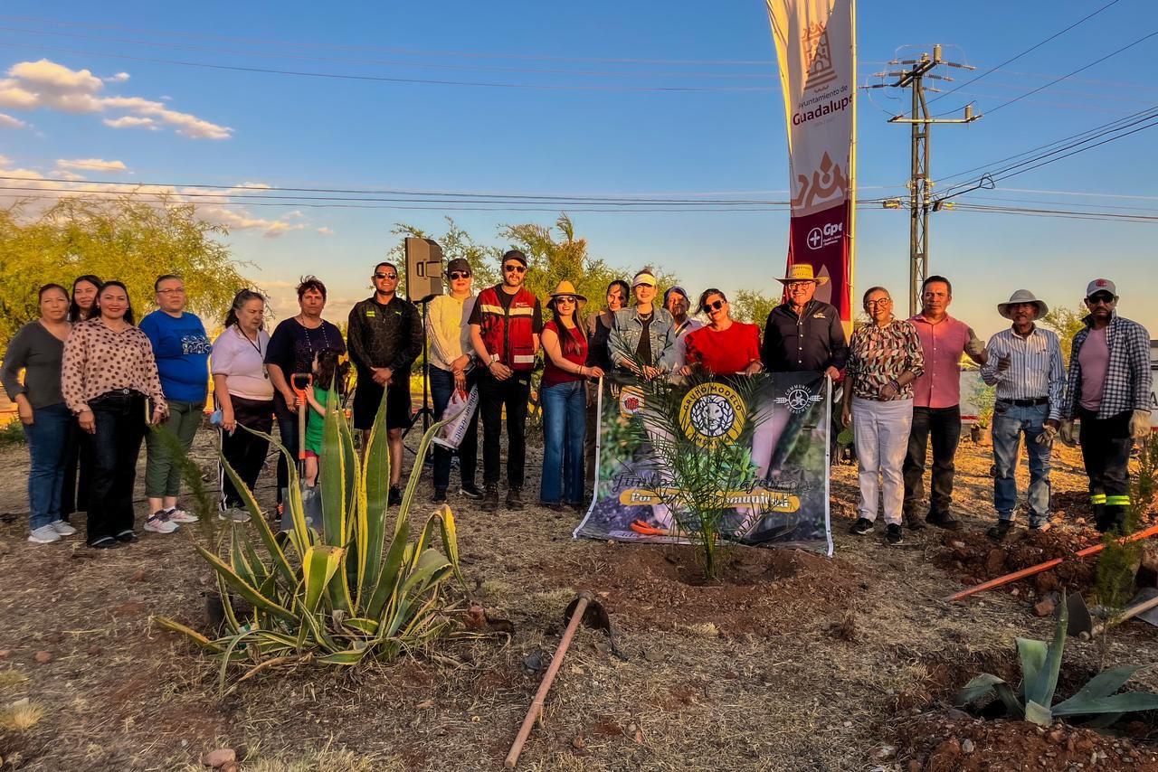 AVANZA PROGRAMA DE REFORESTACIÓN EN GUADALUPE CON APOYO DE VECINOS Y EMPRESAS
