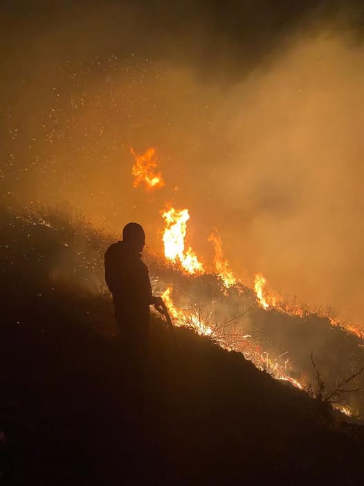 SOFOCAN 60 HECTÁREAS INCENDIADAS EN EL ECOPARQUE
