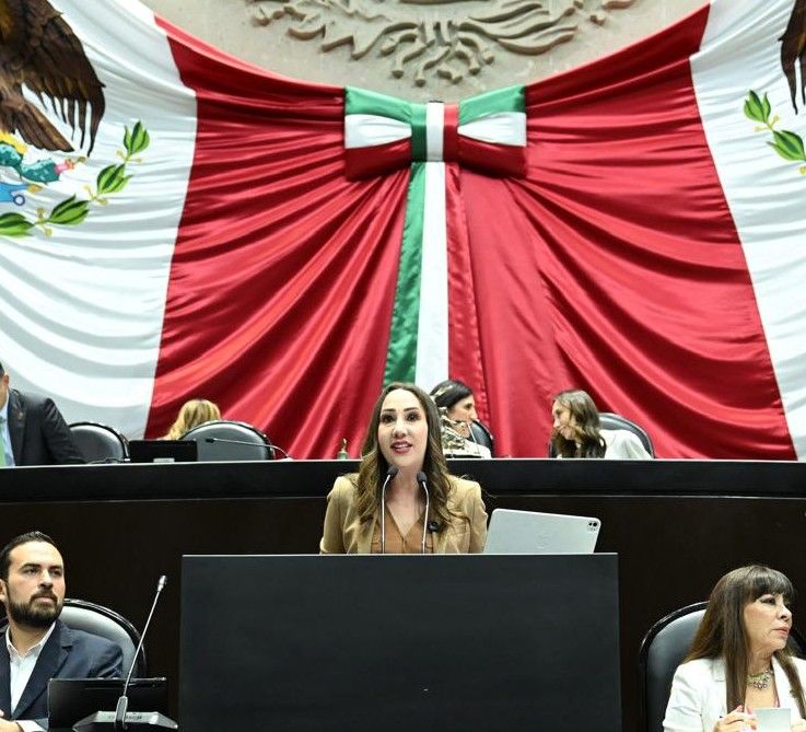CIERRA NOEMÍ LUNA SEGUNDO AÑO LEGISLATIVO CON DEFENSA Y RESULTADOS