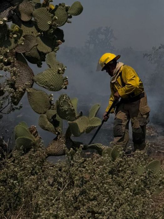 DEVORA FUEGO 2 MIL HECTÁREAS EN LA ZONA SERRANA DE FRESNILLO