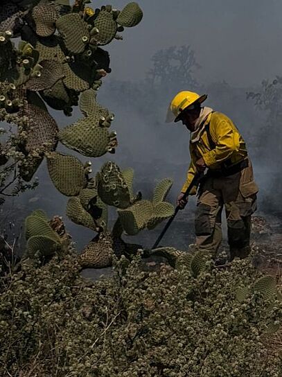 DEVORA FUEGO 2 MIL HECTÁREAS EN LA ZONA SERRANA DE FRESNILLO