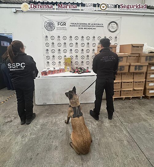 ASEGURAN FGR Y SSPC METANFETAMINA OCULTA EN DULCES