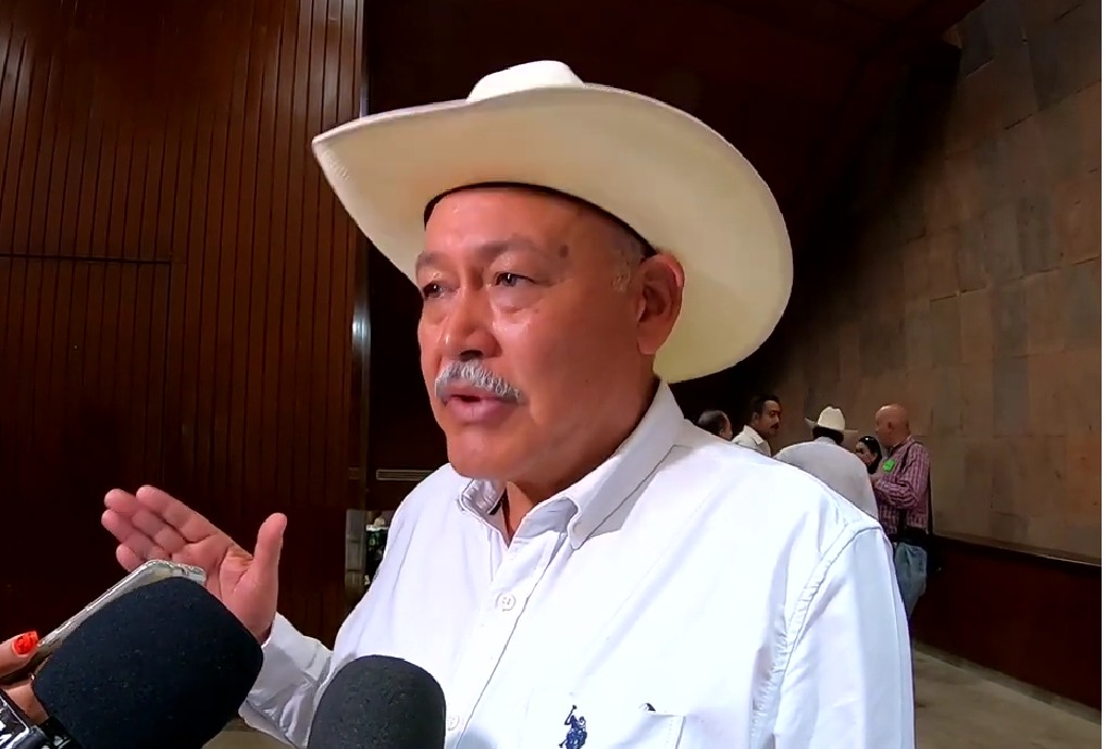 DENUNCIA ALBERTO DE SANTIAGO CAÍDA DE PRECIOS POR AJO CHINO
