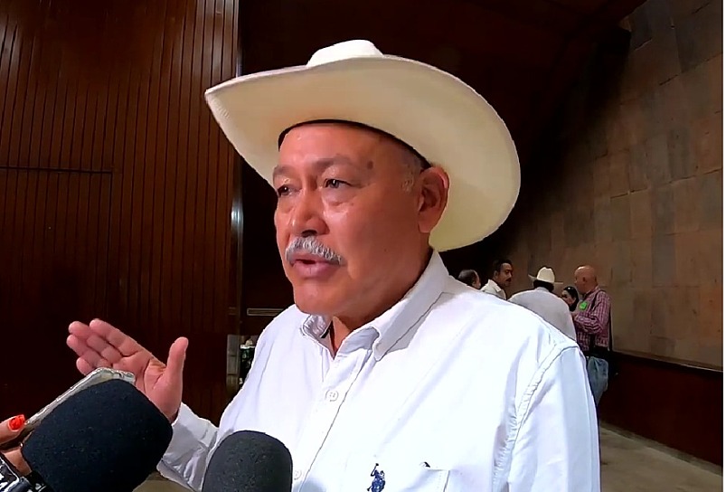 DENUNCIA ALBERTO DE SANTIAGO CAÍDA DE PRECIOS POR AJO CHINO