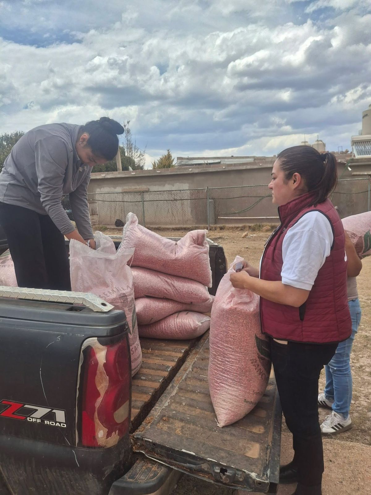 ABREN REGISTRO PARA PRODUCTORES QUE BUSCAN SEMILLA DE FRIJOL SUBSIDIADA EN ZACATECAS