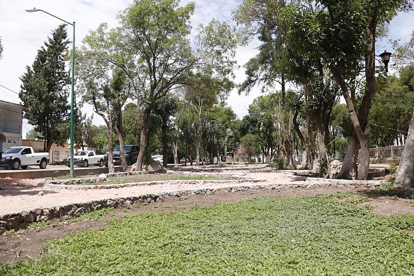 AMPLÍAN ALUMBRADO PÚBLICO EN LA ALAMEDA DE JEREZ 