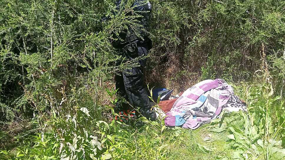  DESTRUYEN FRIZ, EJÉRCITO Y GUARDIA NACIONAL CAMPAMENTO PRESUNTAMENTE DELICTIVO CERCA DE AGUASCALIENTES