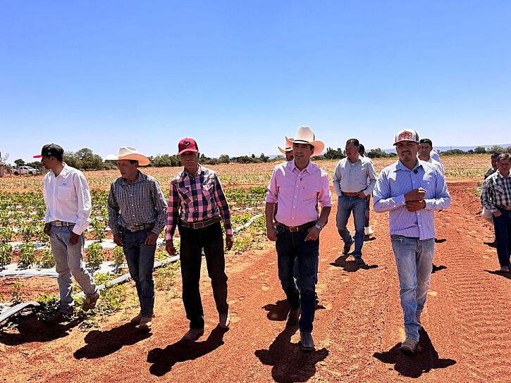 SUPERVISA PEPE SALDÍVAR IMPLEMENTACIÓN DE APOYOS AGRÍCOLAS EN GUADALUPE