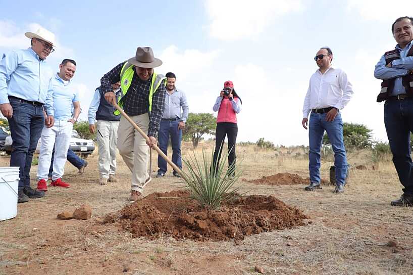 REALIZAN JORNADA DE REFORESTACIÓN EN CALERA