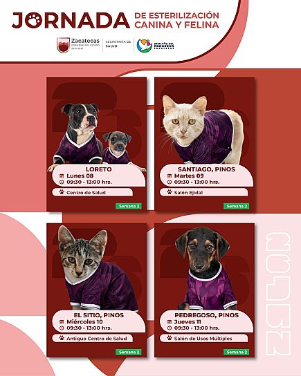 OFRECE GODEZAC CIRUGÍAS GRATUITAS PARA ESTERILIZAR MASCOTAS EN LORETO Y PINOS