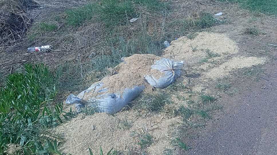 ASEGURAN FUERZAS DE SEGURIDAD 233 KILOGRAMOS DE EXPLOSIVOS EN LÍMITES
