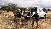 REALIZA COMISIÓN DE BÚSQUEDA DILIGENCIAS FORENSES EN CALERA