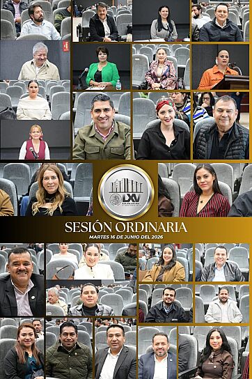 DECLARA LEGISLATURA GANADORA A MINERA JUANICIPIO DEL PREMIO AL MÉRITO AMBIENTAL