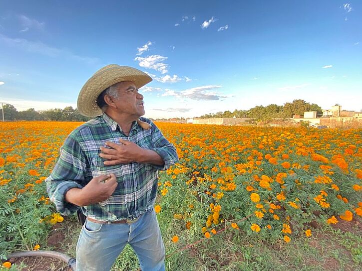 MANTIENE PEDRO MEDINA VIVA LA TRADICIÓN DEL CEMPASÚCHIL